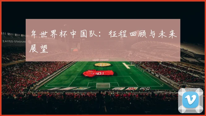 年世界杯中国队：征程回顾与未来展望