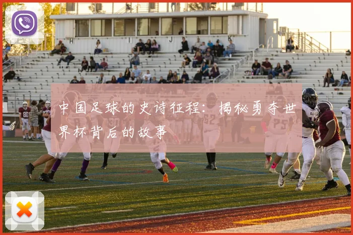 中国足球的史诗征程：揭秘勇夺世界杯背后的故事