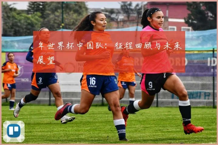 年世界杯中国队：征程回顾与未来展望