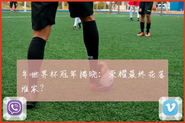 年世界杯冠军揭晓：荣耀最终花落谁家？