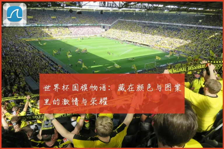 世界杯国旗物语：藏在颜色与图案里的激情与荣耀