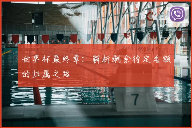 世界杯最终章：解析剩余待定名额的归属之路