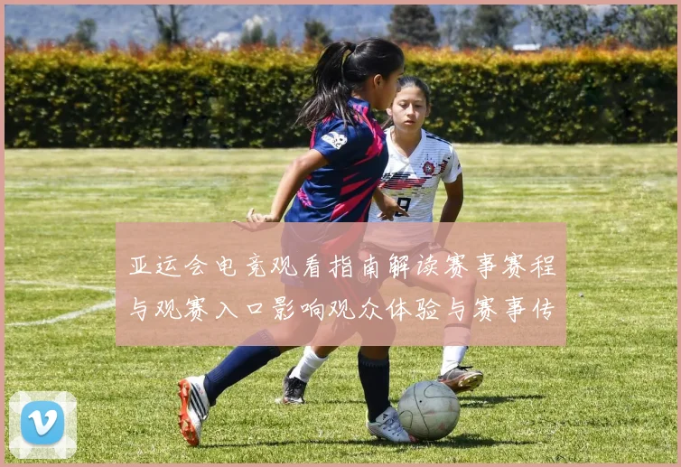 亚运会电竞观看指南解读赛事赛程与观赛入口影响观众体验与赛事传播