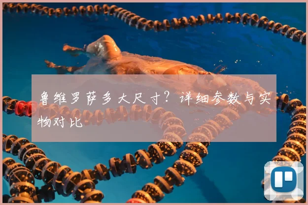鲁维罗萨多大尺寸？详细参数与实物对比