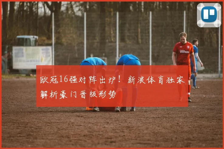 欧冠16强对阵出炉！新浪体育独家解析豪门晋级形势