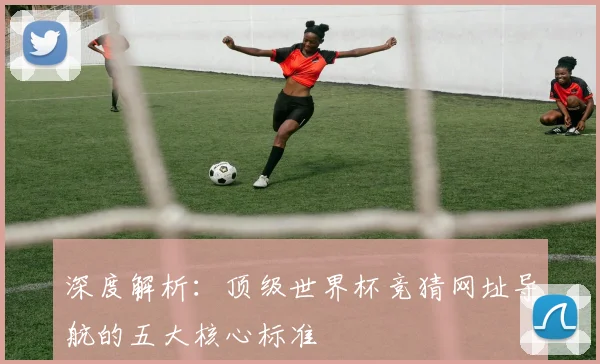 深度解析：顶级世界杯竞猜网址导航的五大核心标准