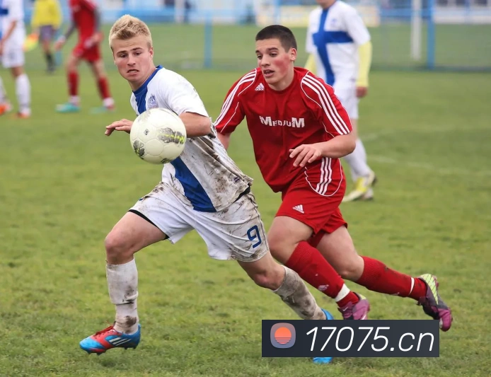 多媒体互动体验